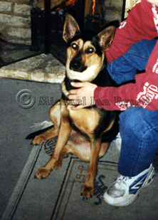 Lucy c2000